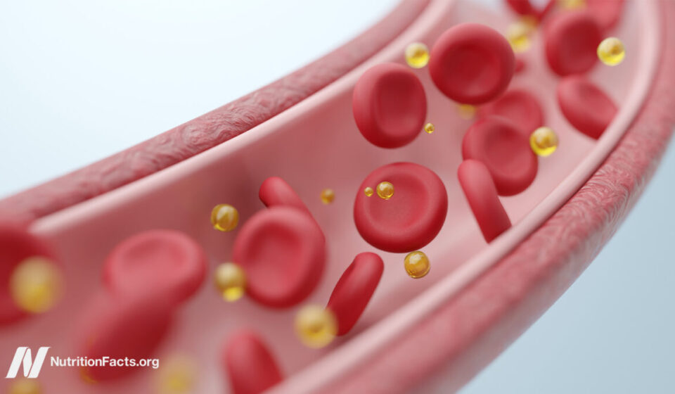 How a Single Meal Can Cripple Your Arteries and Lungs