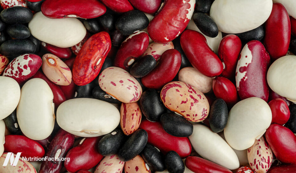 Which Beans Best Block the Spread of Cancer?