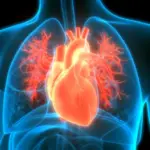 ARPA-H to invest $62M to build agentic AI agent for heart care