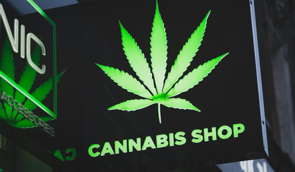 Understanding the mental health risks linked with cannabis use