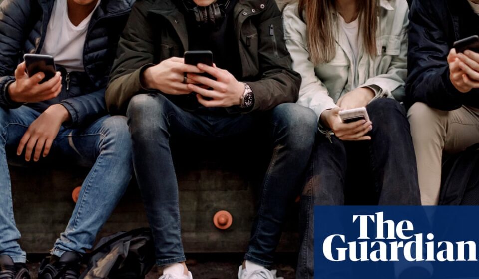 No ‘snowflakes’: mental health review says today’s youth have it harder and harms are real | Young people