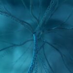 Understanding cognitive restructuring in PTSD Understanding cognitive restructuring in PTSD