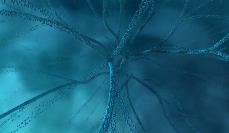 Understanding cognitive restructuring in PTSD